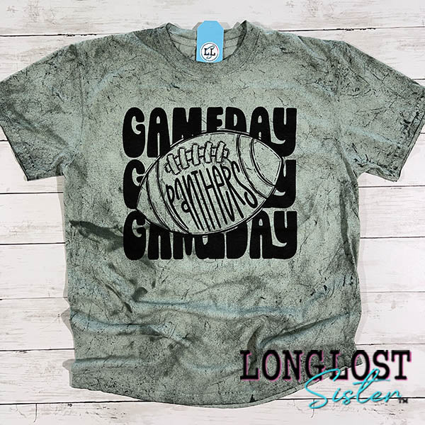 Panthers Football Game Day Spirit T-Shirt long lost sister boutique